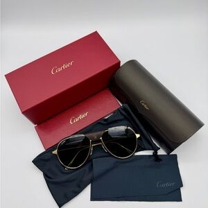 Cartier CT0242S Santos Men's Sunglasses with Black and Gold Finish